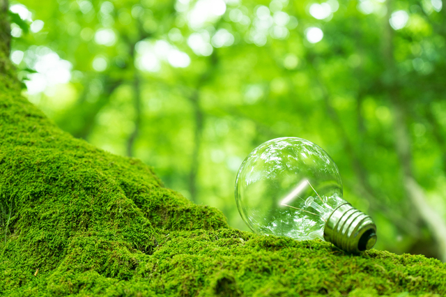 再生可能エネルギーの電力会社・電気料金プランを比較!エコで安いおすすめは?